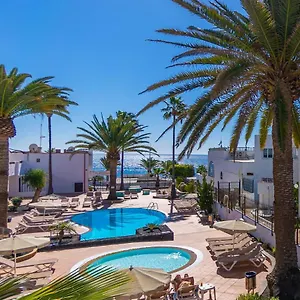 Flamingo , Puerto del Carmen (Lanzarote) Espagne