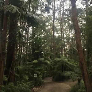 https://springbrook-mountain-chalets.queenslandhotels.net